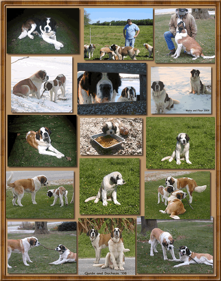 photo gallery 6